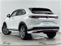 2022 Honda VEZEL