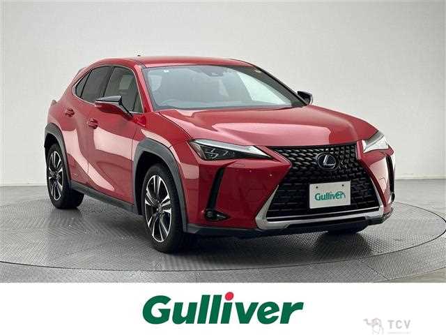 2020 Lexus UX