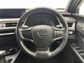 2020 Lexus UX