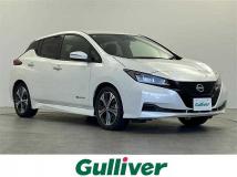 2022 Nissan Leaf
