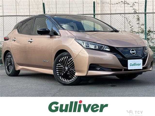 2022 Nissan Leaf