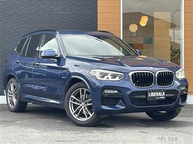 2019 BMW X3