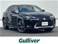 2018 Lexus UX
