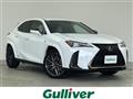 2019 Lexus UX