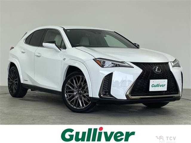 2019 Lexus UX