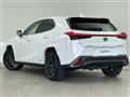 2019 Lexus UX