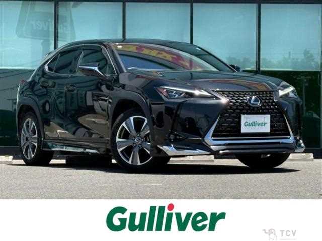 2022 Lexus UX