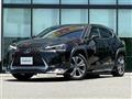 2022 Lexus UX