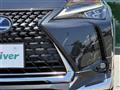 2022 Lexus UX