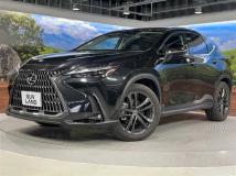 2022 Lexus NX