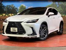 2023 Lexus NX