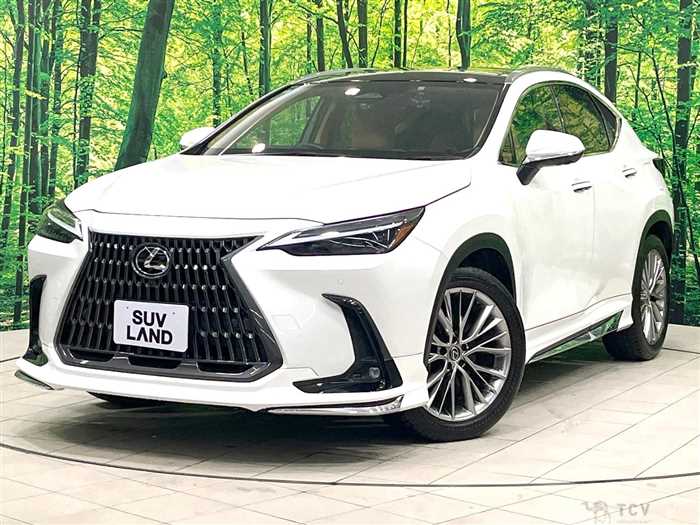 2022 Lexus NX