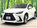 2022 Lexus NX