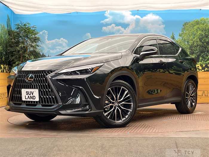 2023 Lexus NX