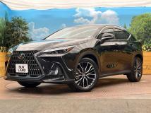 2023 Lexus NX