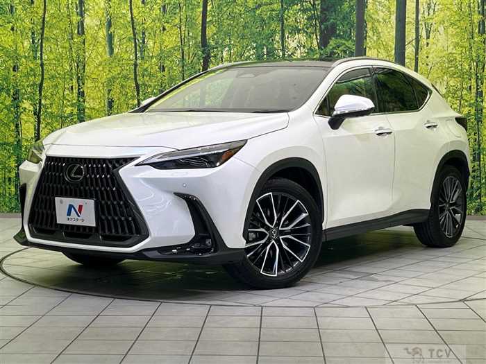 2023 Lexus NX
