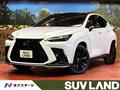 2025 Lexus NX