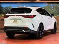 2025 Lexus NX
