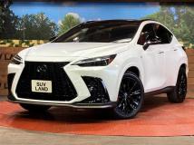 2025 Lexus NX