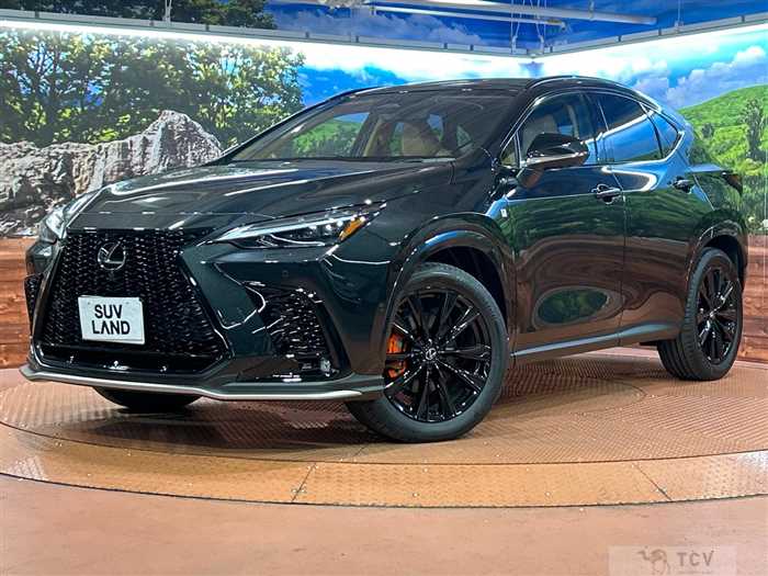 2025 Lexus NX