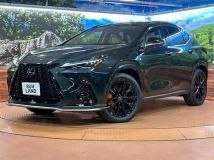 2025 Lexus NX