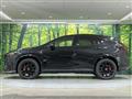 2025 Lexus NX