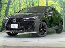2025 Lexus NX