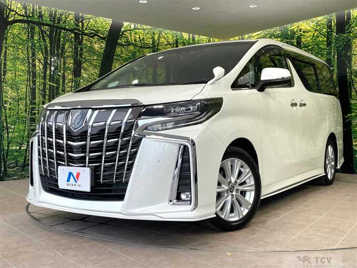 2019 Toyota Alphard