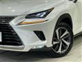 2018 Lexus NX