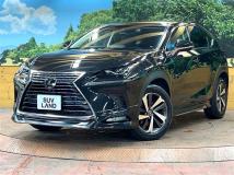 2018 Lexus NX
