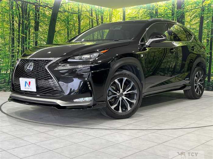 2015 Lexus NX