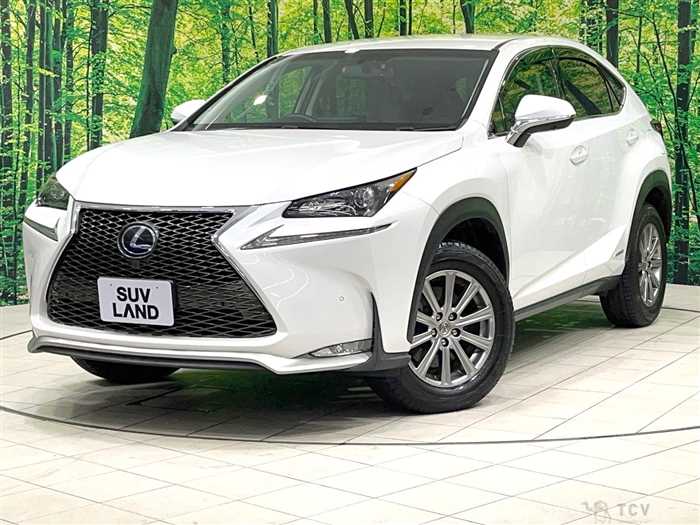 2015 Lexus NX