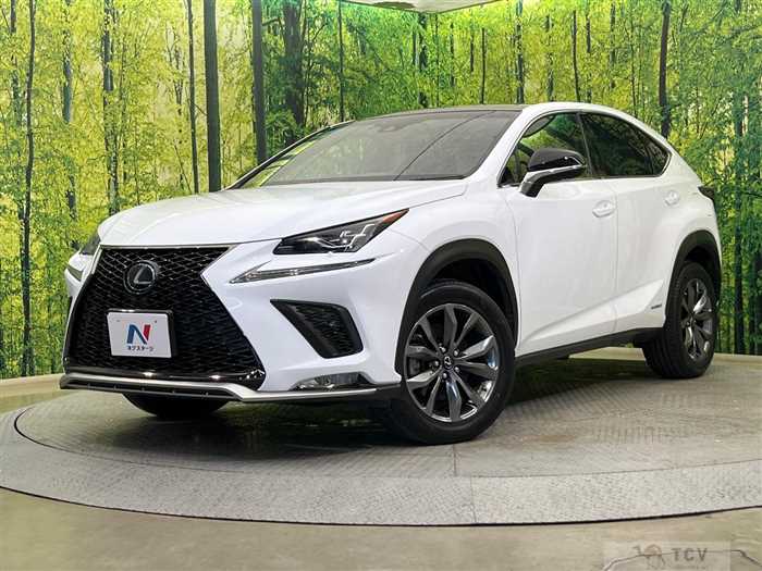 2018 Lexus NX