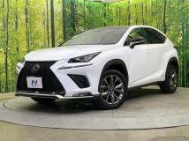 2018 Lexus NX