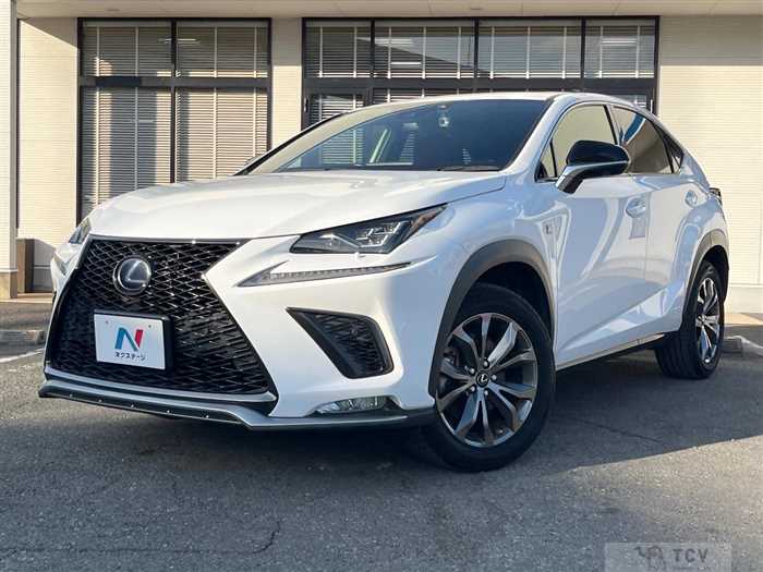 2019 Lexus NX