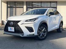 2019 Lexus NX