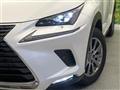 2020 Lexus NX