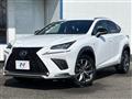 2019 Lexus NX