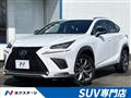 2019 Lexus NX