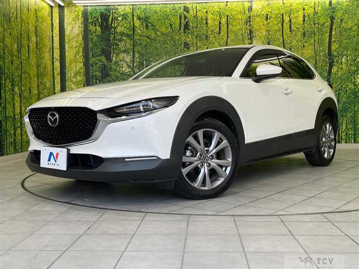 2019 Mazda Mazda Others