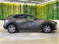 2019 Mazda Mazda Others