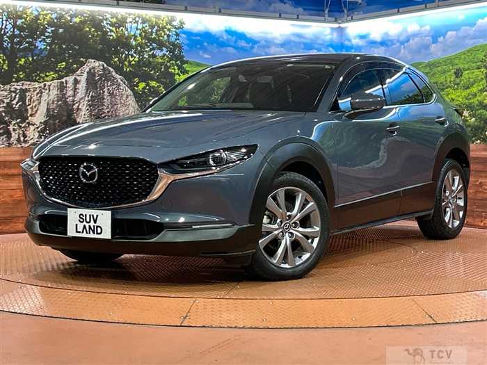2020 Mazda Mazda Others