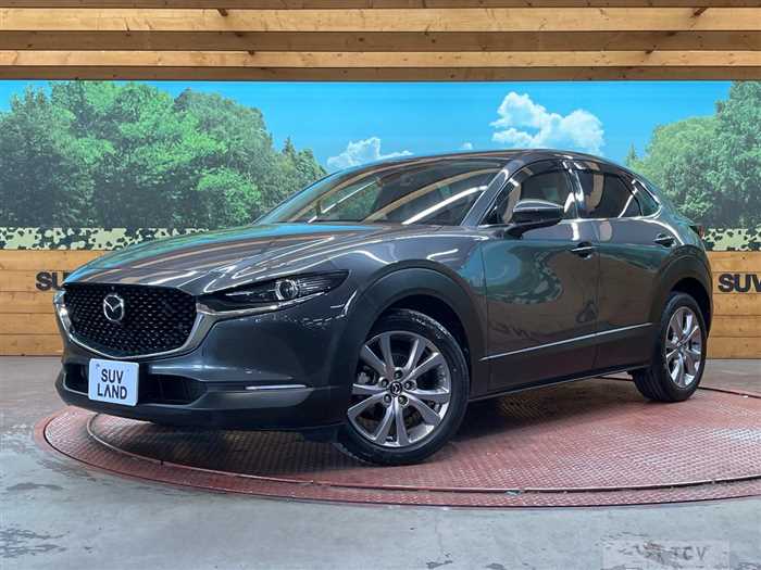 2021 Mazda Mazda Others