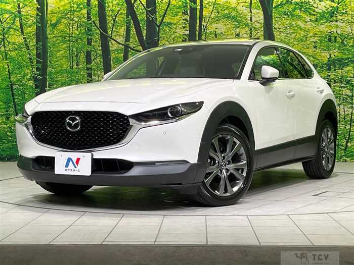 2019 Mazda Mazda Others