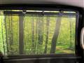 2024 Honda Freed