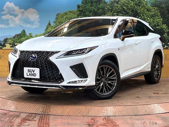 2020 Lexus RX