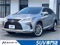 2020 Lexus RX