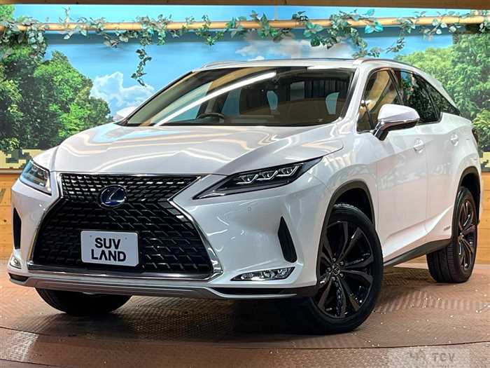 2019 Lexus RX