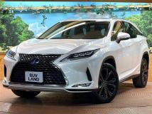 2019 Lexus RX