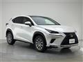 2019 Lexus NX